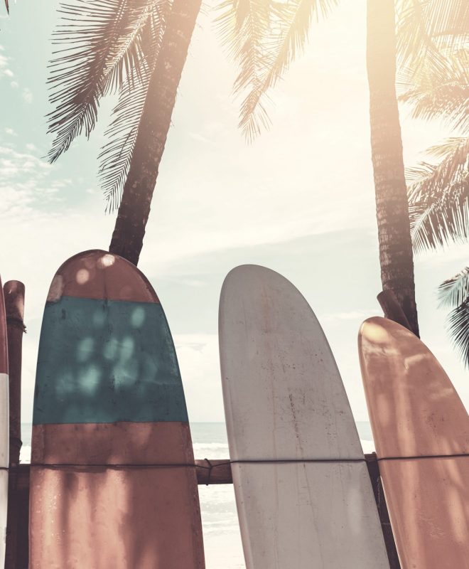 Surfboard and palm tree on beach background. Travel adventure sport and summer vacation concept. Vintage tone filter effect color style.